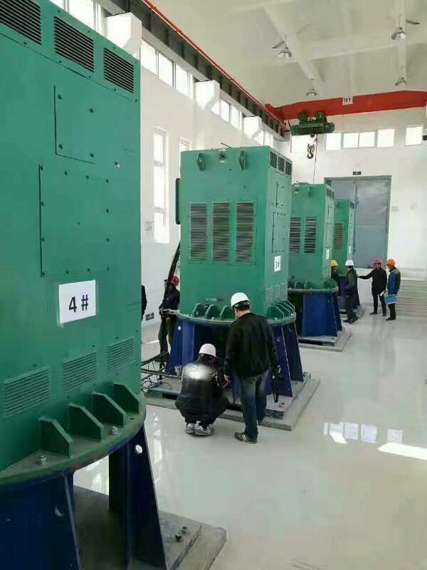 YKK某污水处理厂使用我厂的立式高压电机安装现场